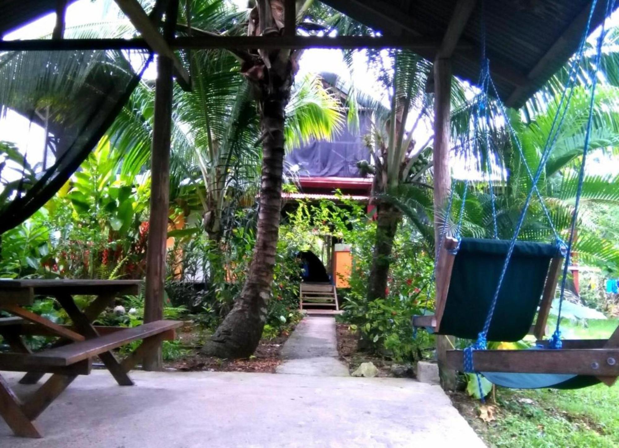 Hotel La Y Surf Camp Bocas del Toro Esterno foto