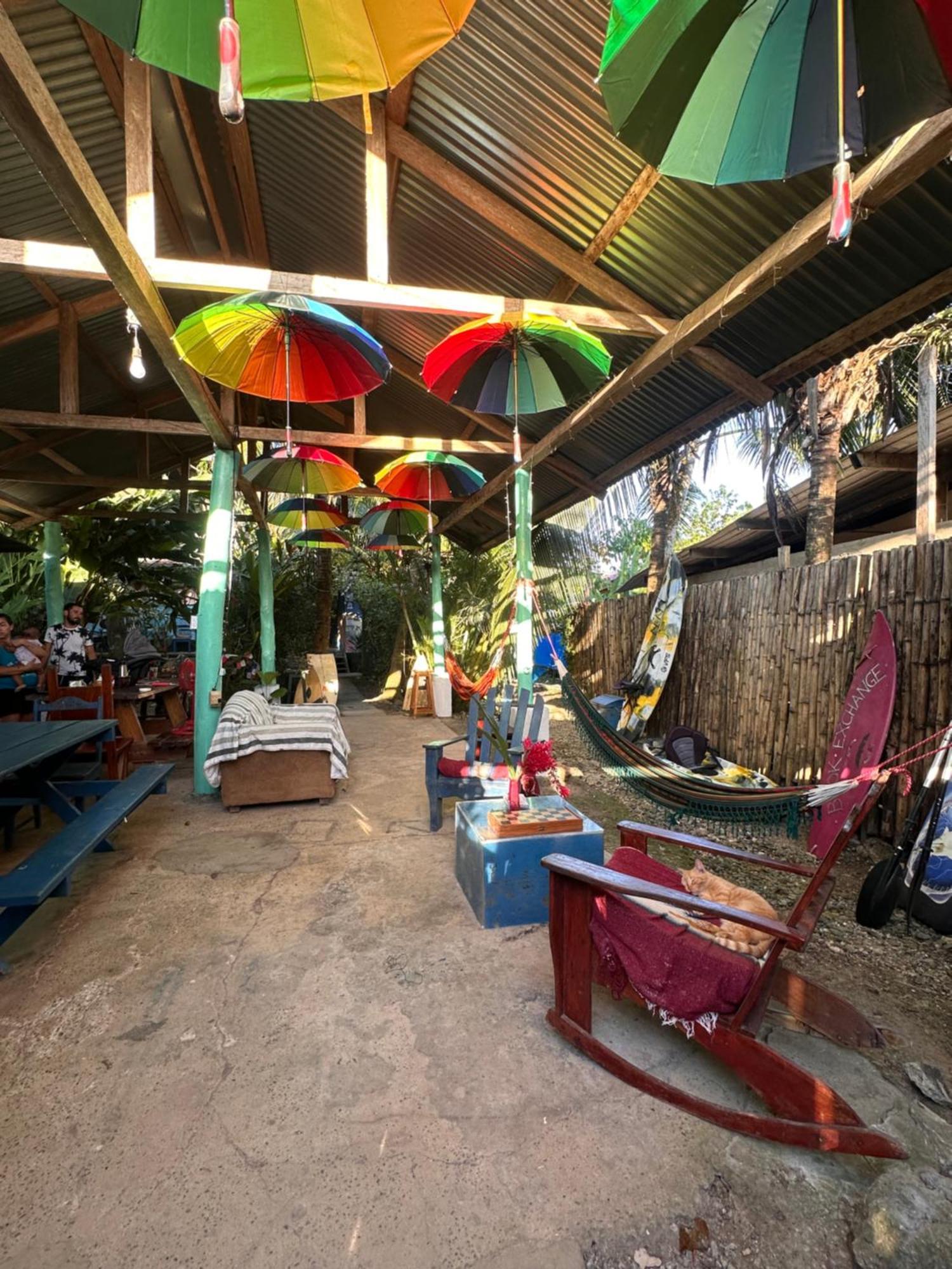 Hotel La Y Surf Camp Bocas del Toro Esterno foto